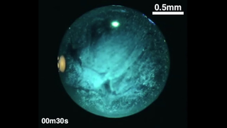 Why This Drop of Liquor Looks Like a Galaxy